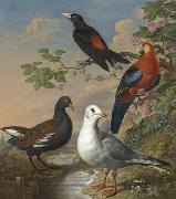 Philip Reinagle A Moorhen, A Gull, A Scarlet Macaw and Red-Rumped A Cacique By a Stream in a Landscape Sweden oil painting artist